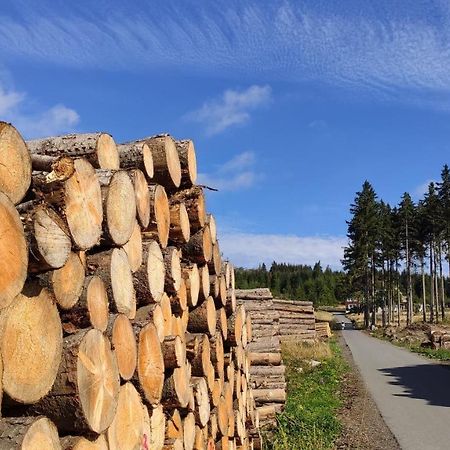 Harz Blick Apartment Braunlage Ngoại thất bức ảnh
