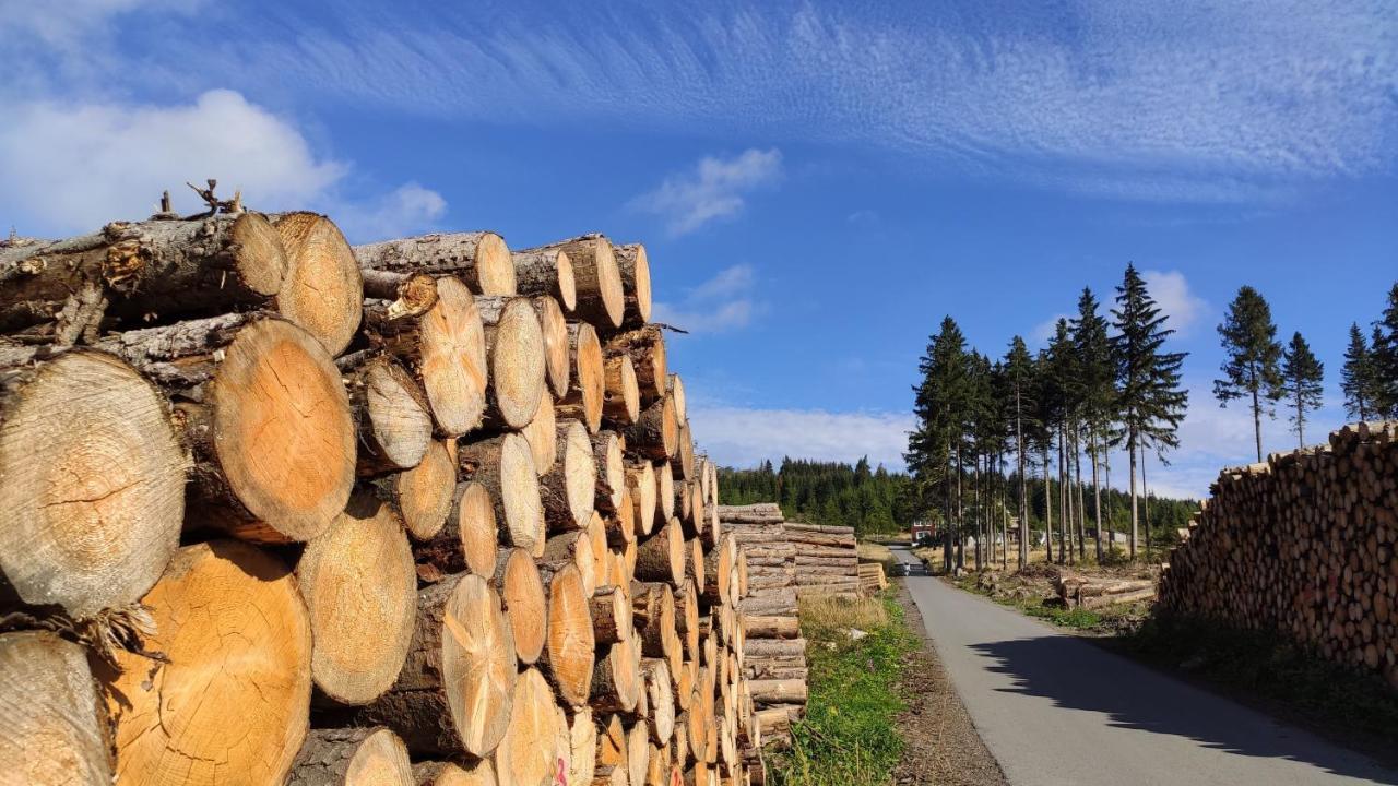 Harz Blick Apartment Braunlage Ngoại thất bức ảnh