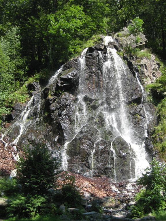 Harz Blick Apartment Braunlage Phòng bức ảnh