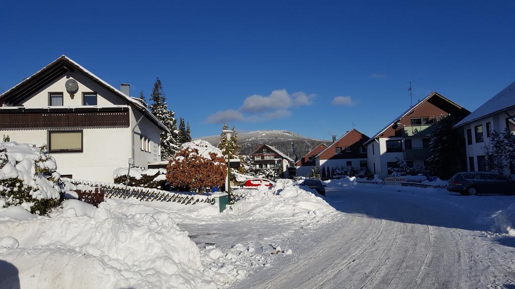Harz Blick Apartment Braunlage Ngoại thất bức ảnh
