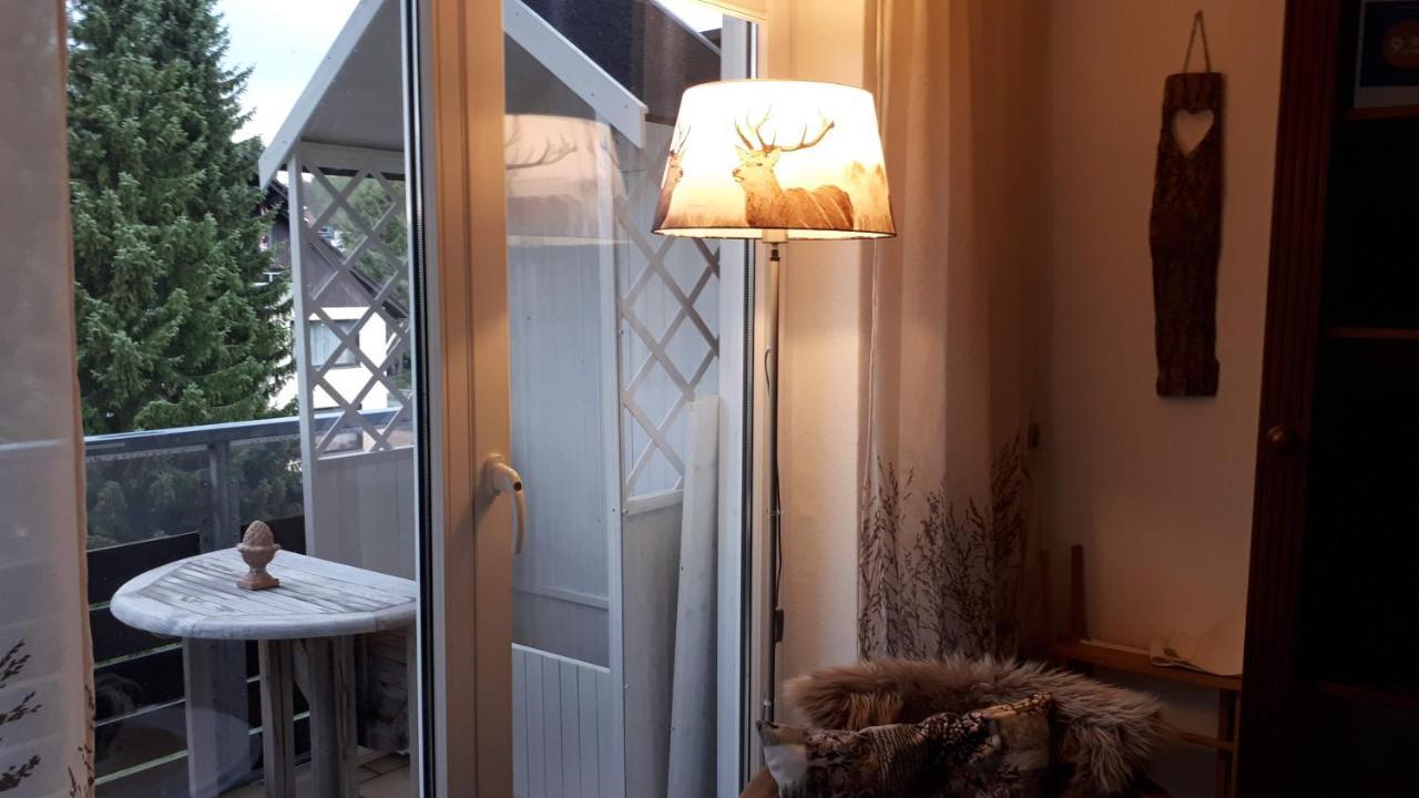 Harz Blick Apartment Braunlage Ngoại thất bức ảnh